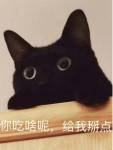 �������ҵ�è�����᲻��