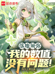 落地须弥:我的数值没有问题!